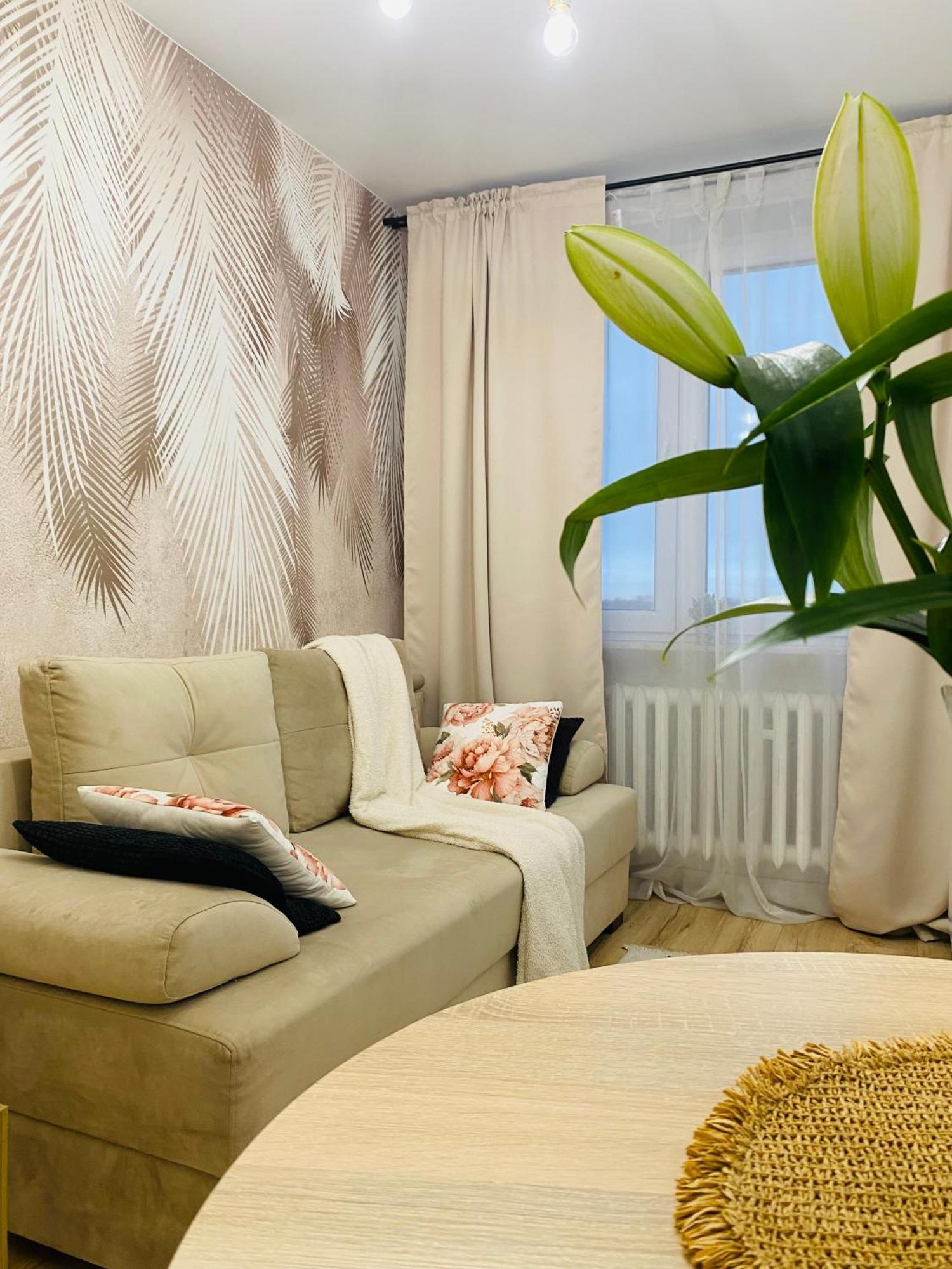 Lovely Space * Rzeszów